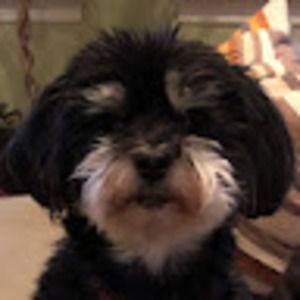 Meet your Posher, Judith